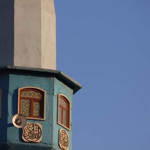 Photo #11897410