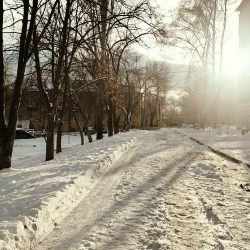 Photo #11897513