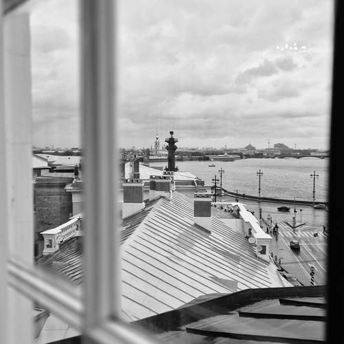 Photo #11897899