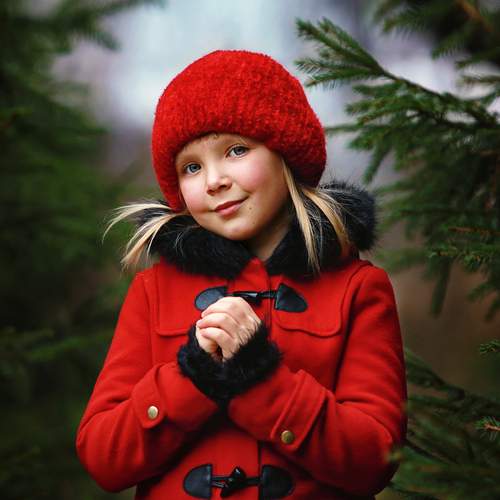 Фотография #11898212