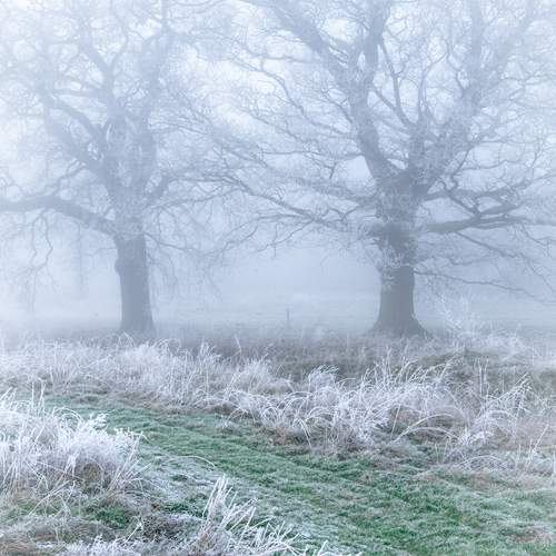 Photo #11898219