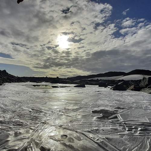 Photo #11898519