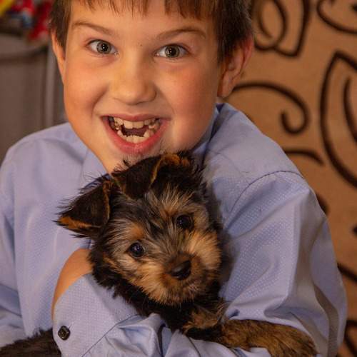 Photo #11898542