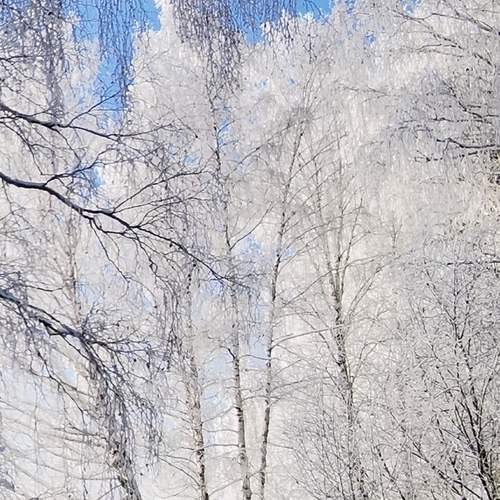 Photo #11898563