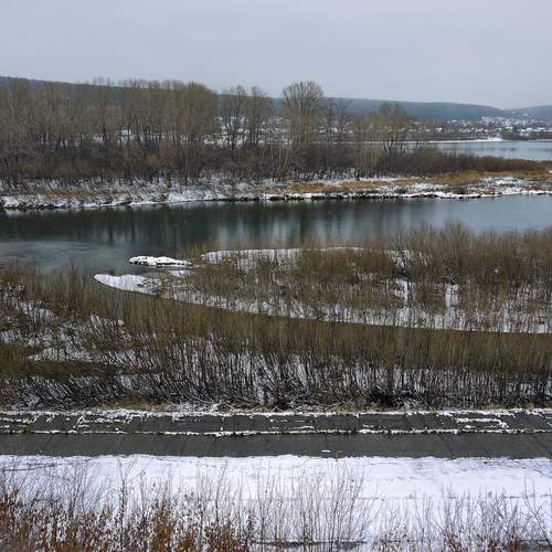 Photo #11898583