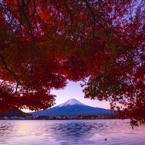 Photo #11898657