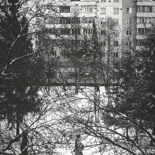 Photo #11898667