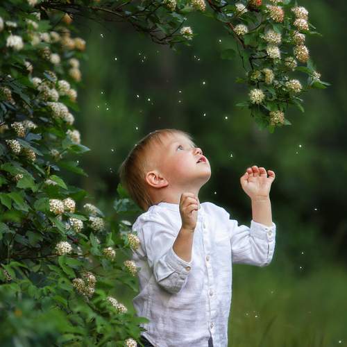 Фотография #11898785