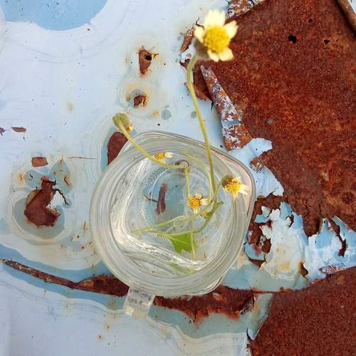 Photo #11898901