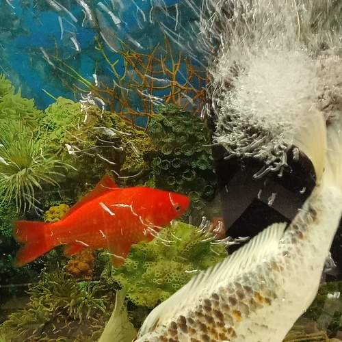 Photo #11899044
