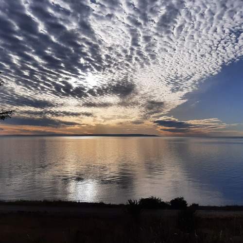 Photo #11899177