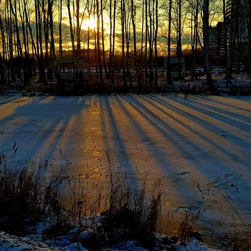 Photo #11899385