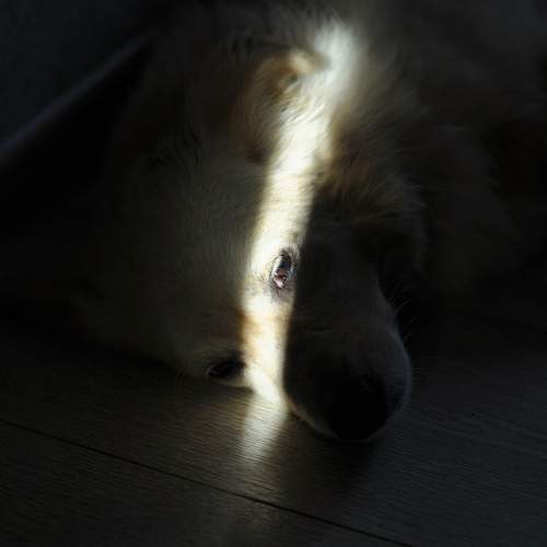 Photo #11899462