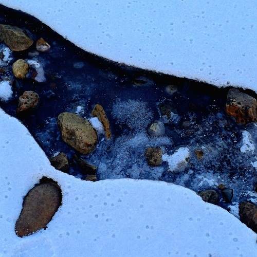 Photo #11899590