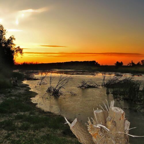 Photo #1190303