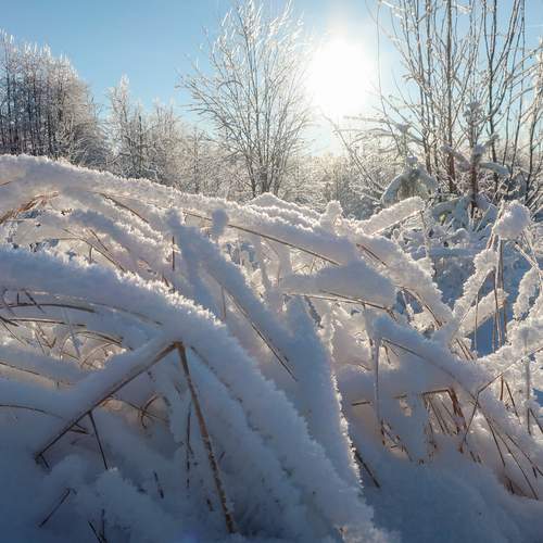 Photo #11900006