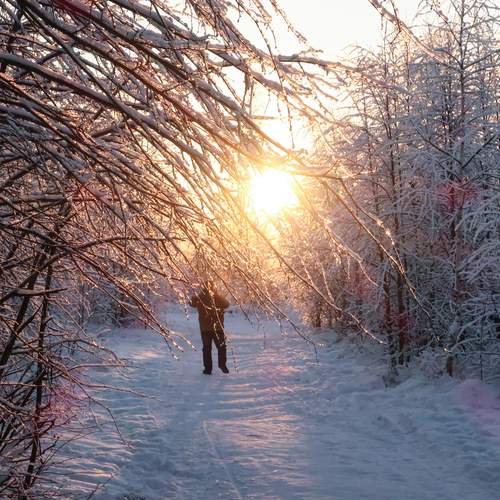 Photo #11900007