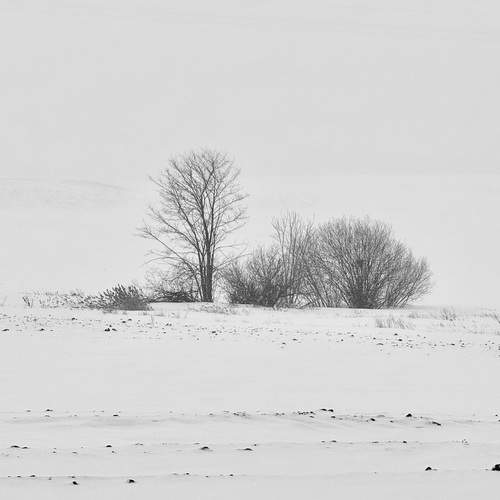 Photo #11900018