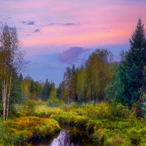 Photo #11900352