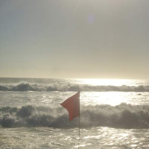 Photo #11900517