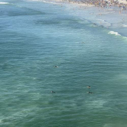 Photo #11900519