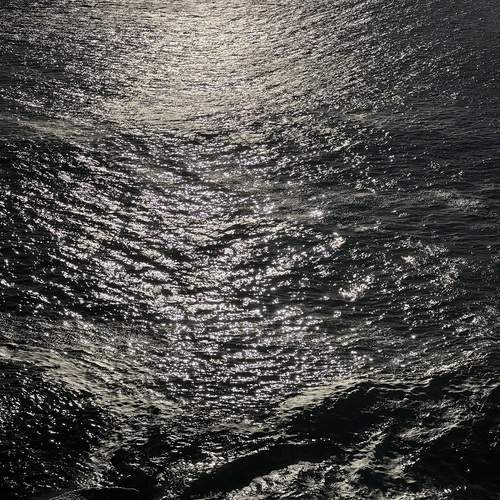Photo #11900543