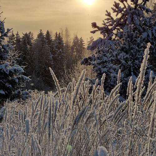 Photo #11900609