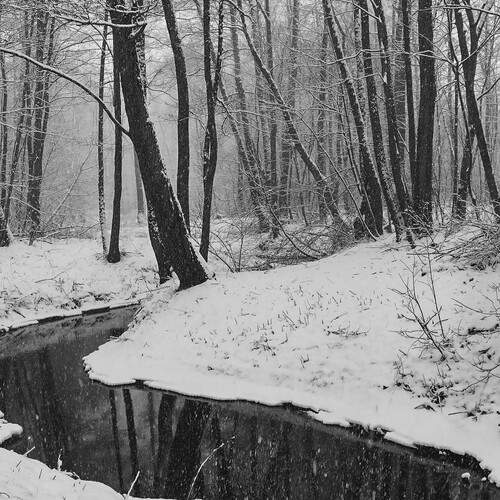 Photo #11900878