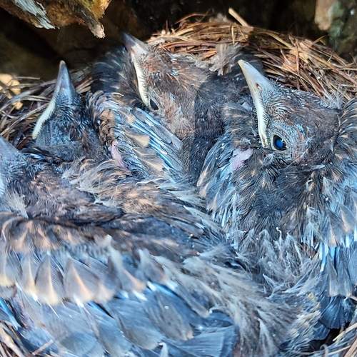 Photo #11900924