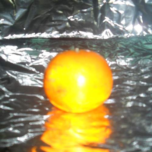 Photo #11901166