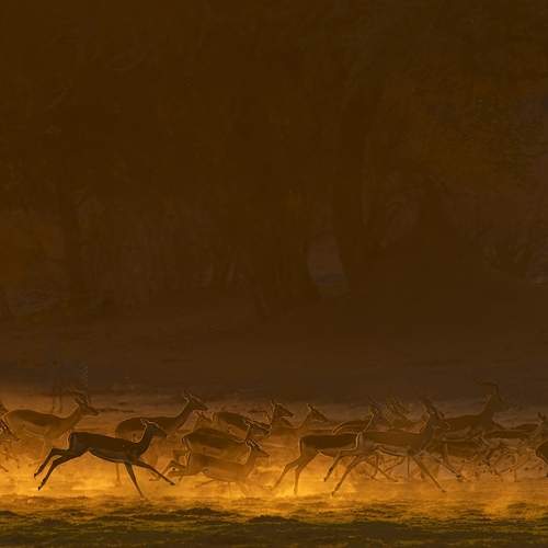 Photo #11901407