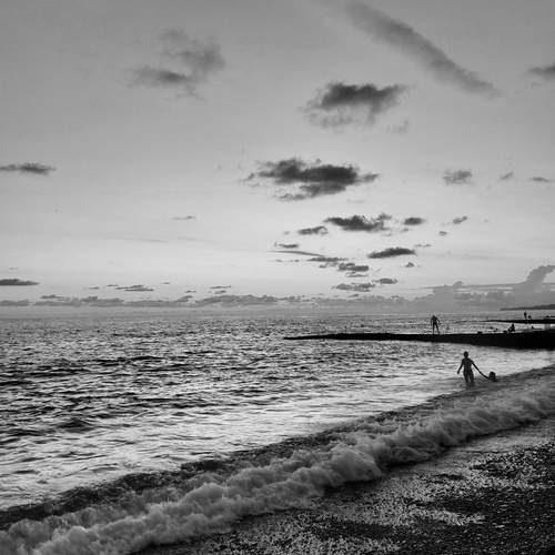 Photo #11901578