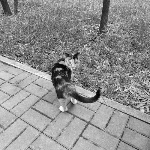 Photo #11901579