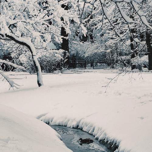 Photo #11901772