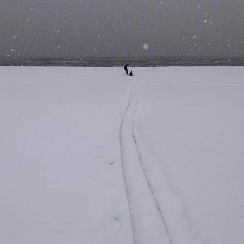 Photo #11901787