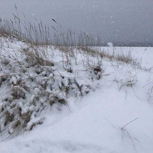 Photo #11901790