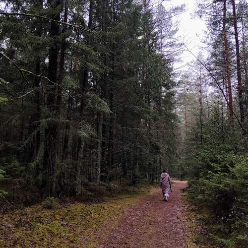 Photo #11901830