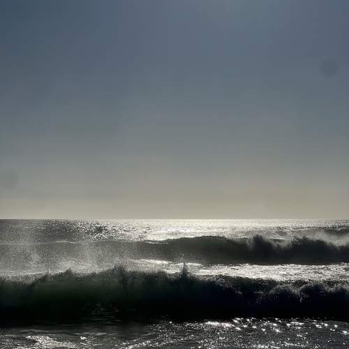 Photo #11901836