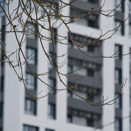 Photo #11901987