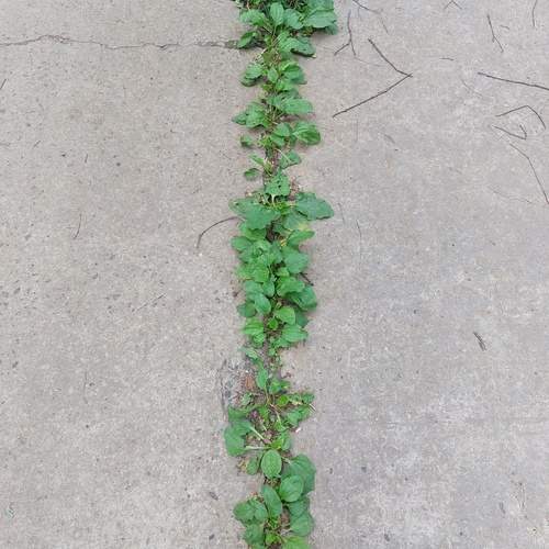 Photo #11902164