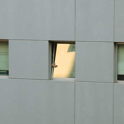 Photo #11902174