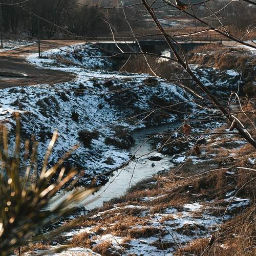 Photo #11902472