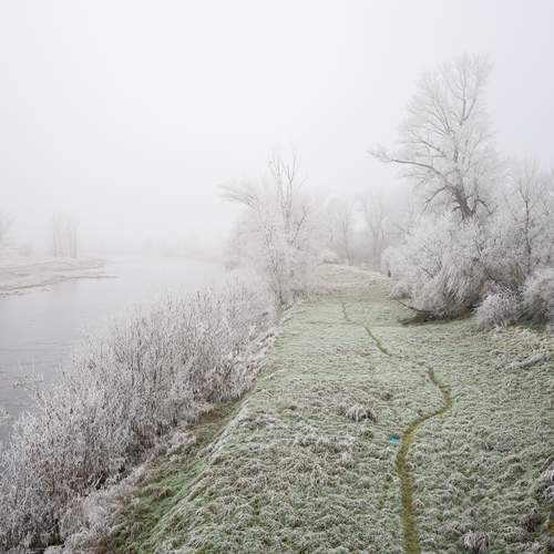 Photo #11902553