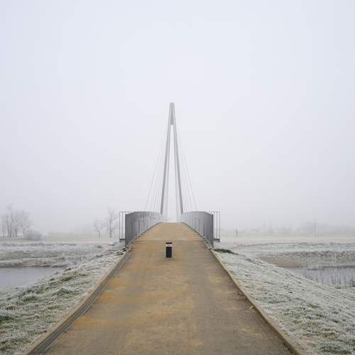 Photo #11902556