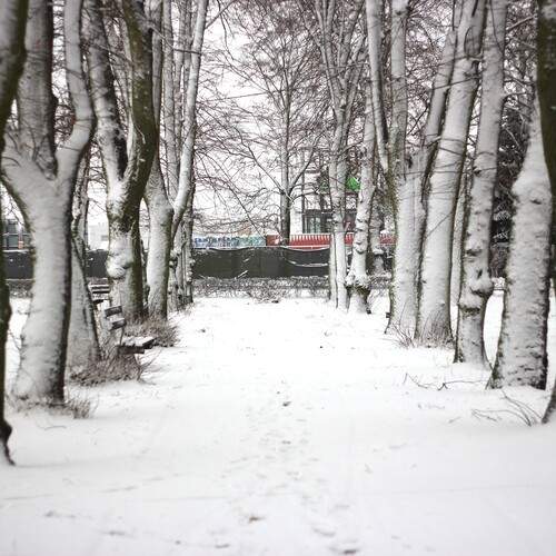 Photo #11902773
