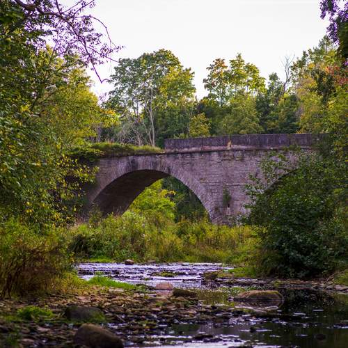 Photo #11902790