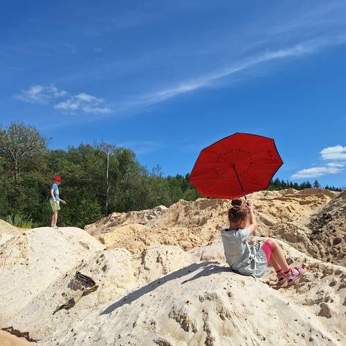 Photo #11902988