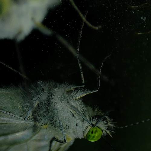 Photo #11903079