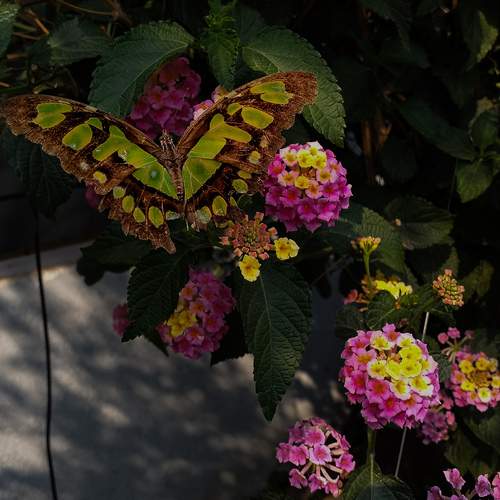 Photo #11903098