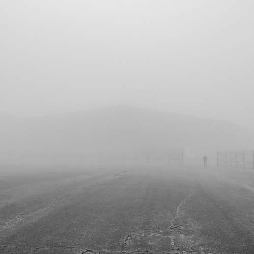 Photo #11903157